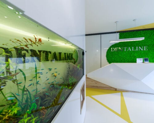 https://www.dentaline-clinic.ro/despre-noi/