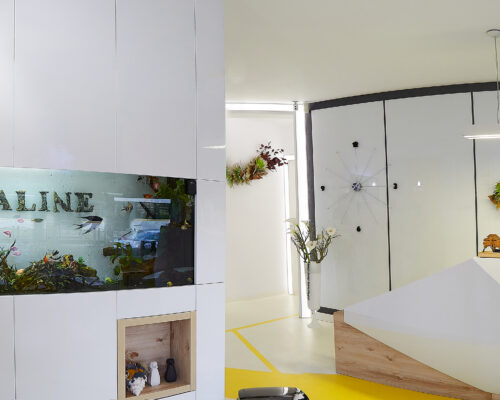 https://www.dentaline-clinic.ro/despre-noi/